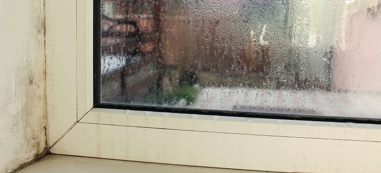 condensation fenetre