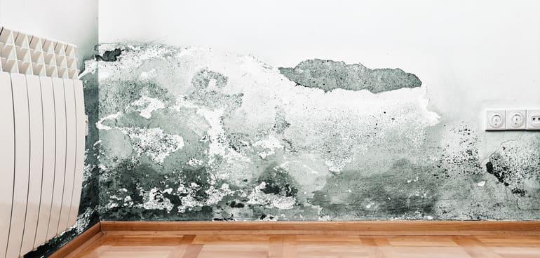 mur avec moisissure
