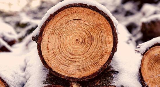 bûches de bois densifiées chauffage